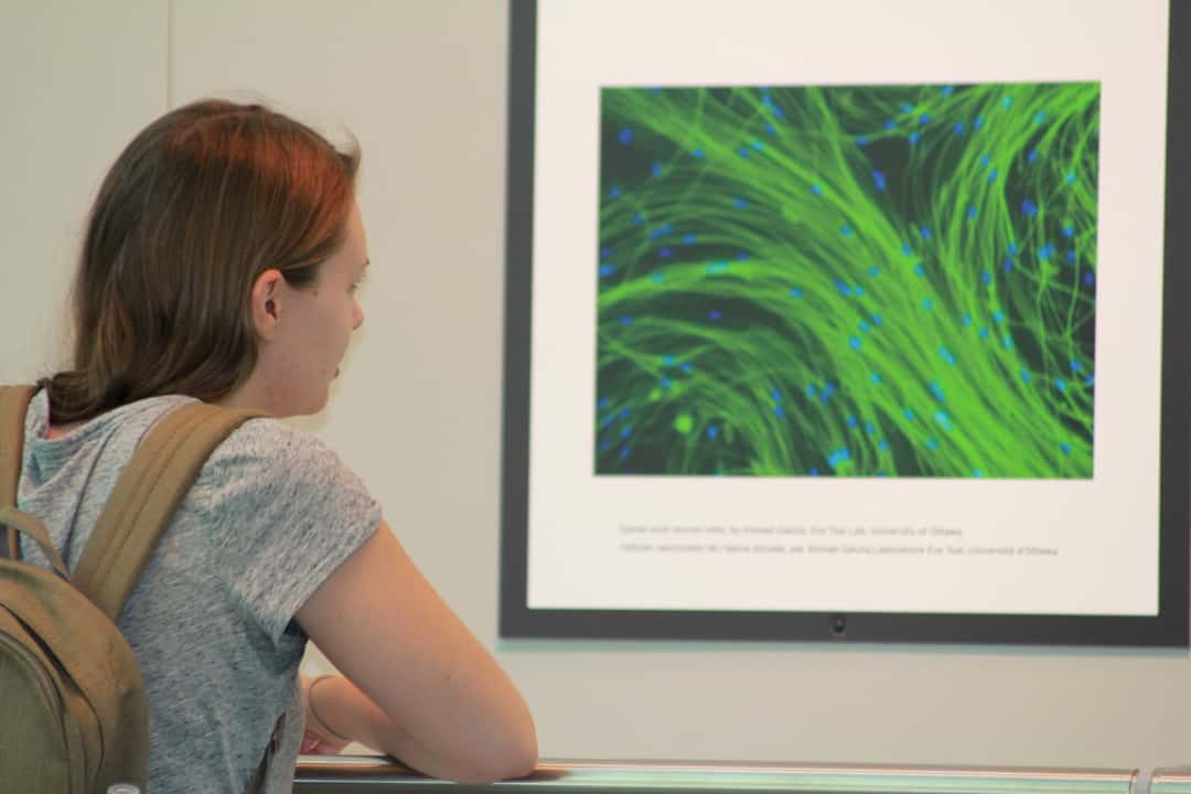 Emily Deibert takes a closer look at “Spinal cord neuron cells” by Ahmad Galuta from the University of Ottawa. ANGELIKA DUFFY/SCIENCE & ENGINEERING ENGAGEMENT