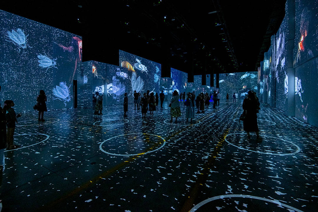 How Masterpieces Are Reduced To Brands A Review Of The Immersive Van 